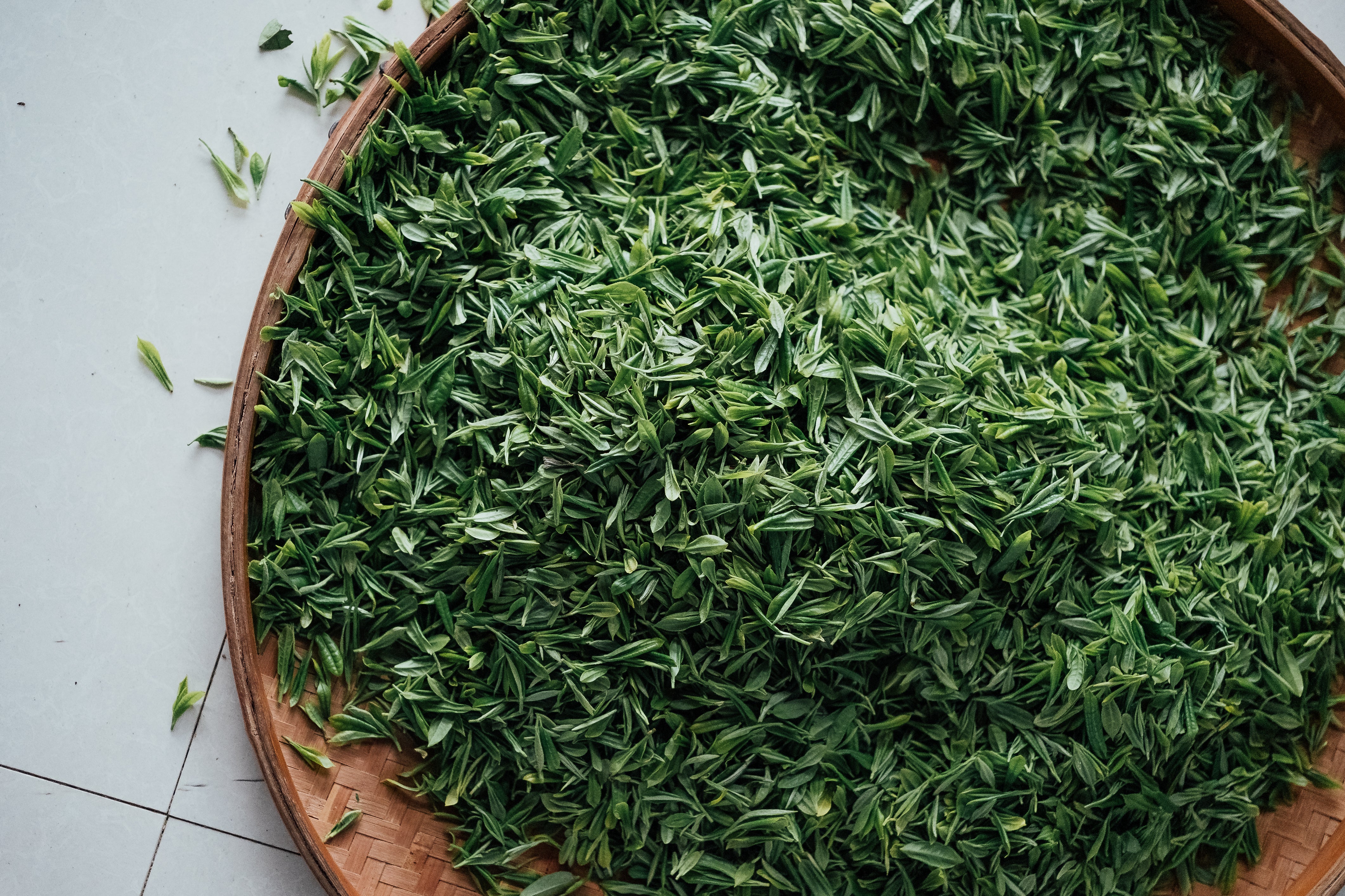 Tea Blends: Understanding The Uniqueness and differences – Grass People ...