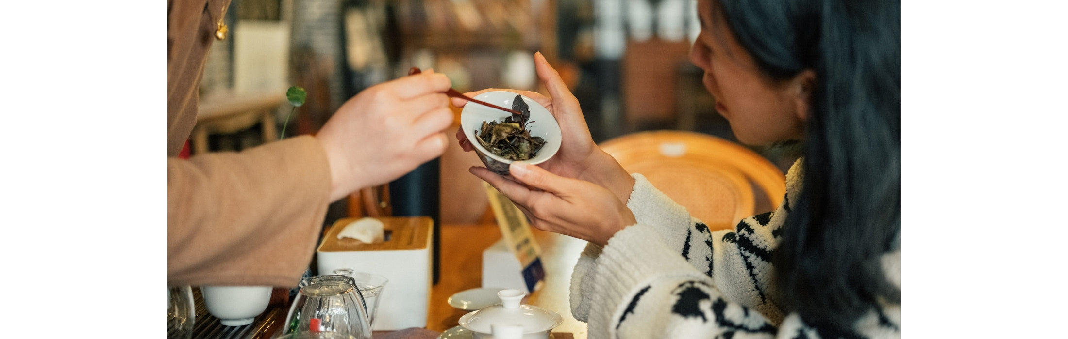 Foundational Tea Courses | Return To Tea’s True Roots & Living Wisdom ...