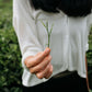 Foundations for Serving Tea (In-Person Training) - Grass People Tree
