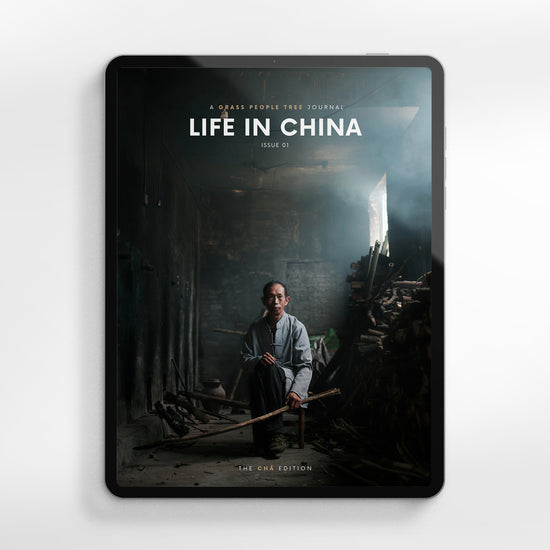 Life In China