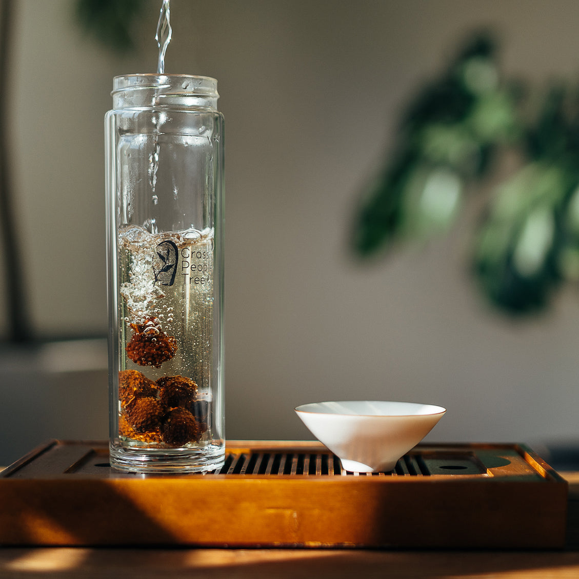 Double-walled Glass Tea Flask – Grass People Tree